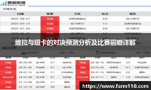 维拉与纽卡的对决预测分析及比赛前瞻详解