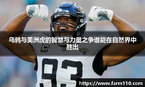 乌鸦与美洲虎的智慧与力量之争谁能在自然界中胜出